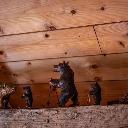 Chalet Slow De L'ourse - Charming Old Stunning View Sauna Pets Ok *